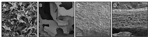 Dermal matrix electron microscopy analysis comparing Cohealyx collagen dermal matrix to synthetic dermal matrix, electrospun resorbable fiber matrix, and fish skin matrix